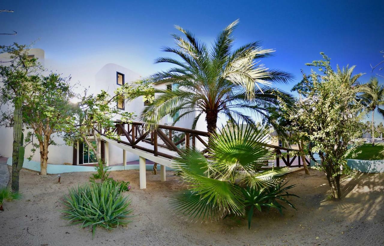 Hotel Santa Maria del Cabo San José del Cabo Exterior foto